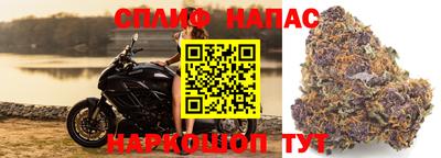 a pvp Пенза